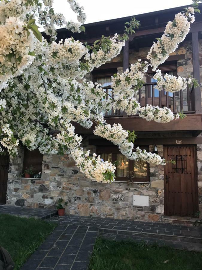 Casa Rural Magdalena Espinareda de Vega Exterior photo